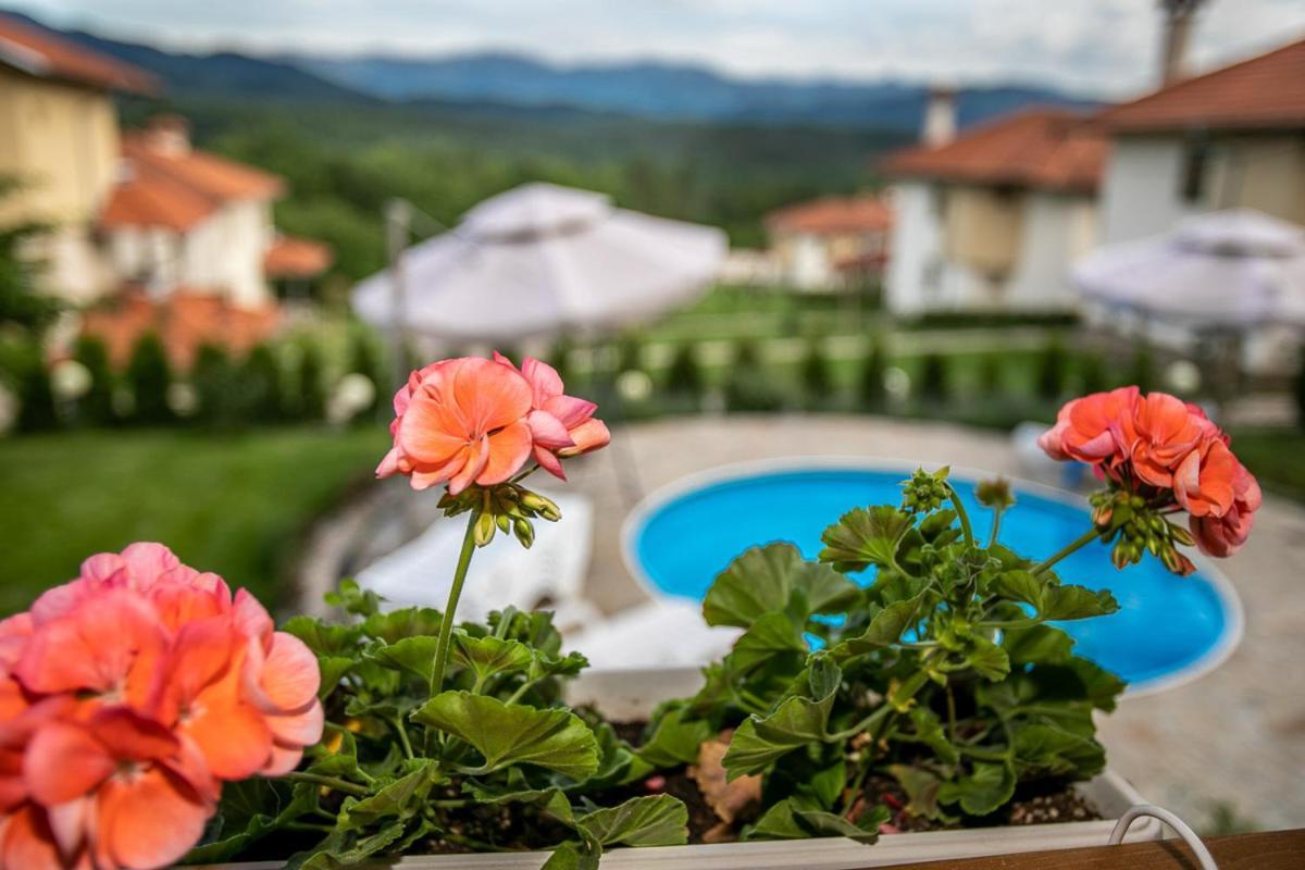 Vila Gardenia Gumoshtnik ภายนอก รูปภาพ