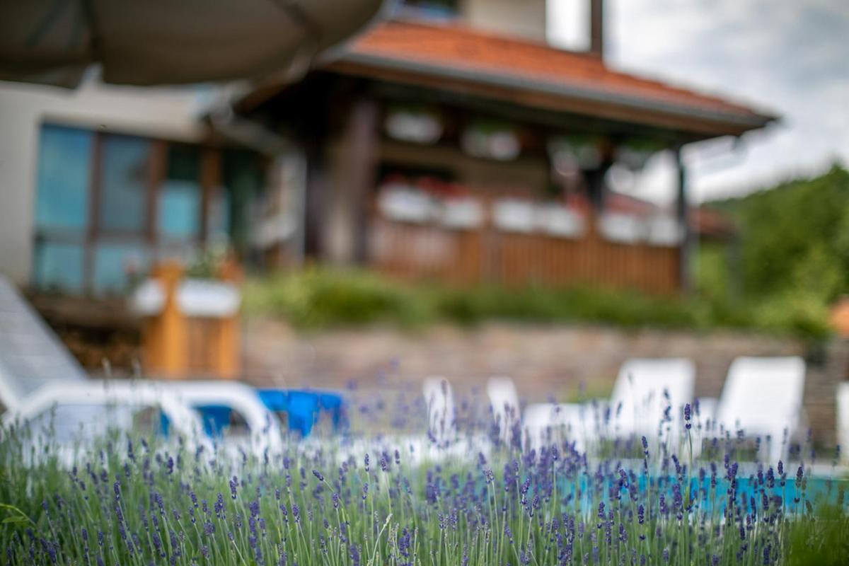 Vila Gardenia Gumoshtnik ภายนอก รูปภาพ